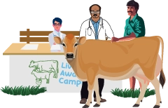 Moneyboxx's veterinary doctors offer guidance to our cattle customers at livestock awareness camp
								